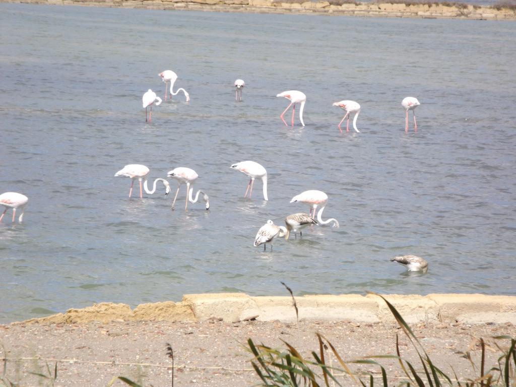 Case Vacanza Torre Lupa Marsala Bilik gambar